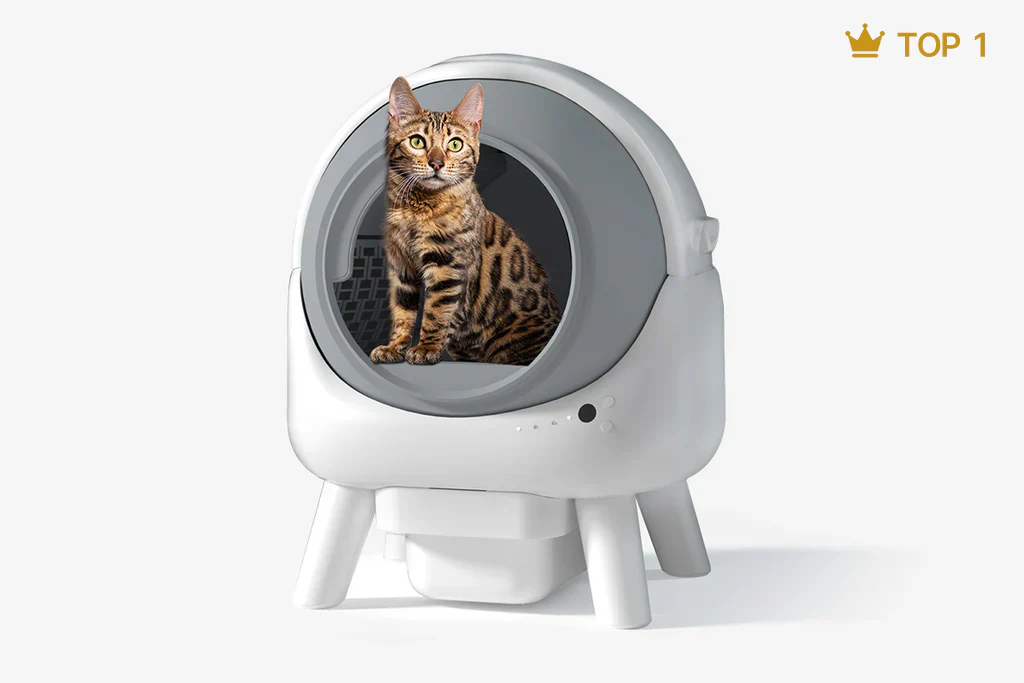 Smart Cleaning for Happy Cats